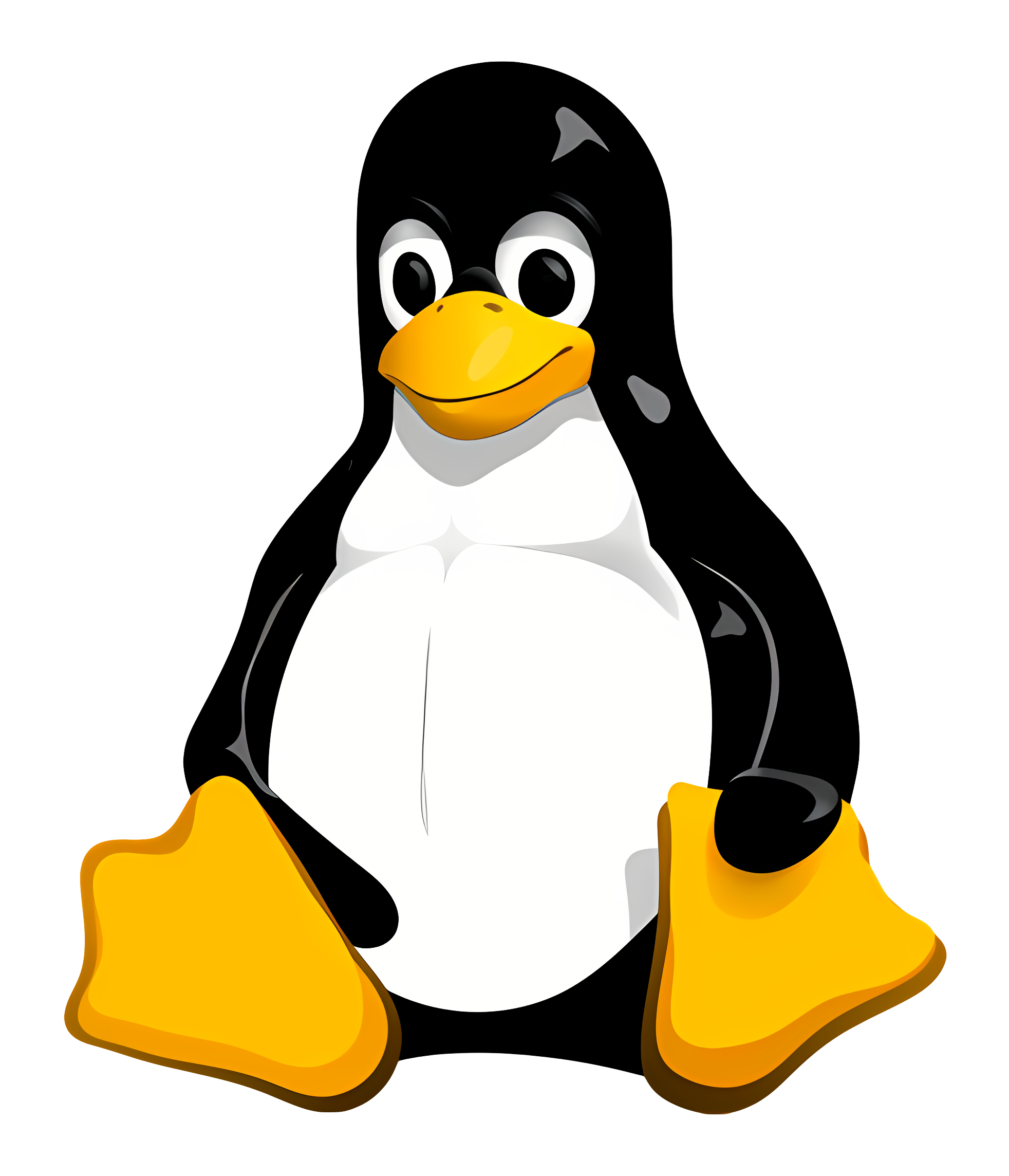 CSS